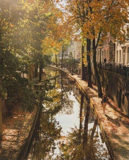 Vlinder's Appartement Utrecht